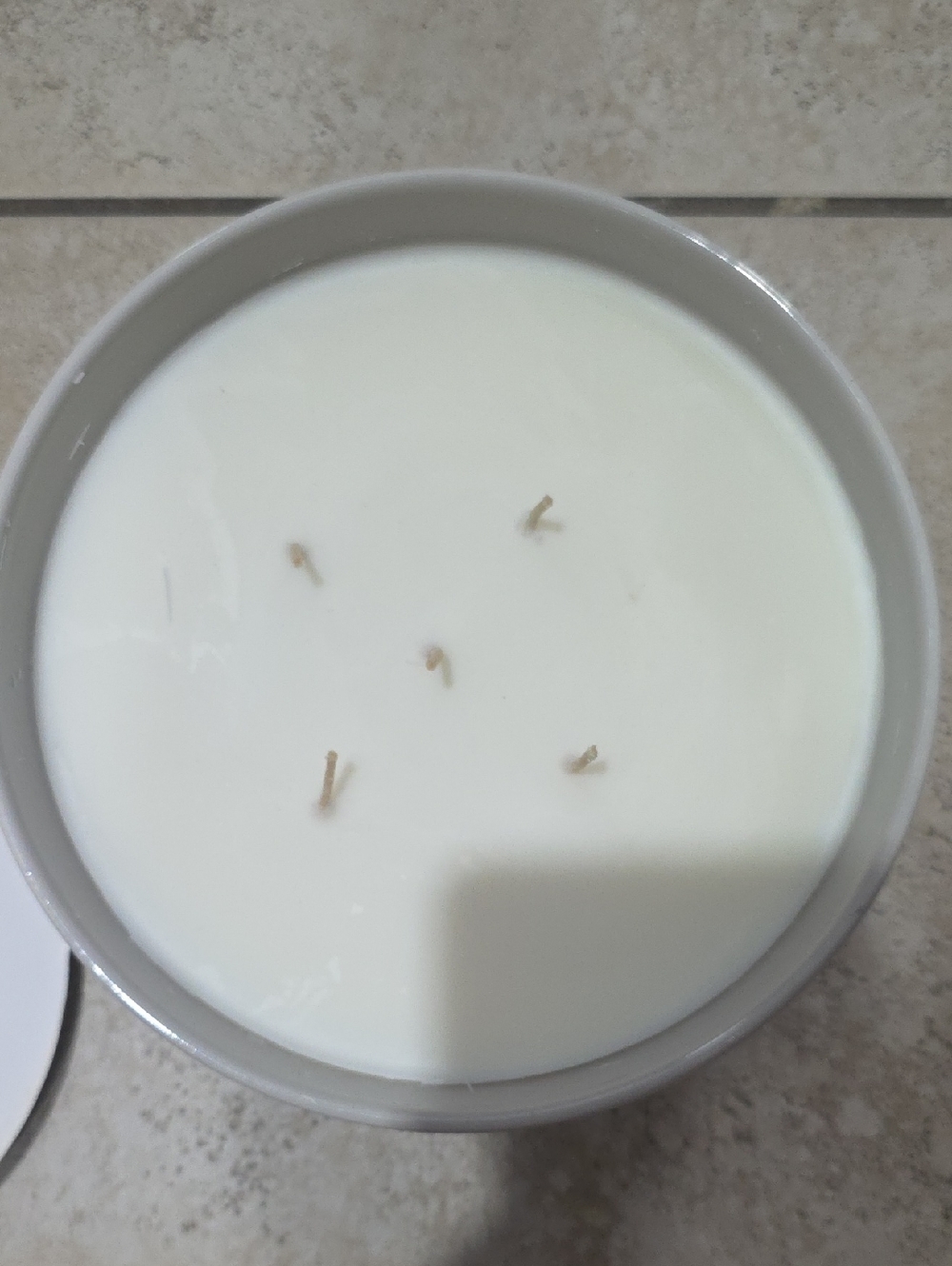 Hearth & Hand Citronella Large White 5 Wick Candle in Gray Jar